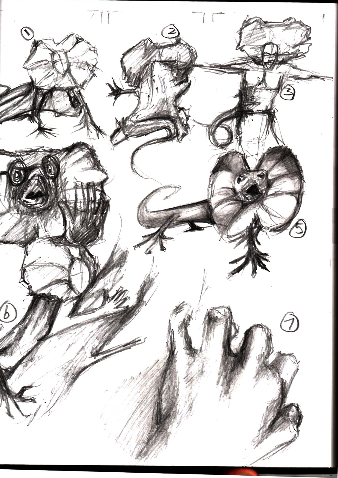 Animal Drawing Thumbnail Sketches for Beginner