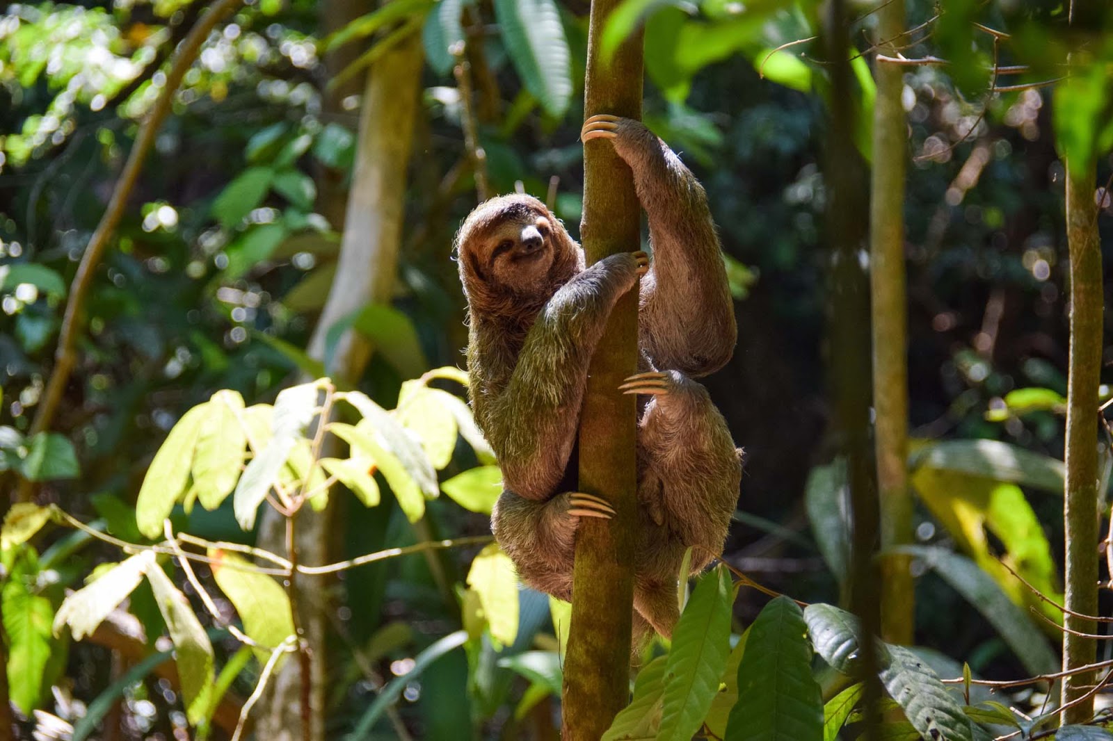 mother and baby cloth in costa rica