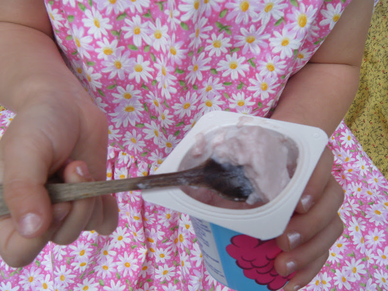 Flour Sack Mama: Trying New Greek Yogurt for Kids