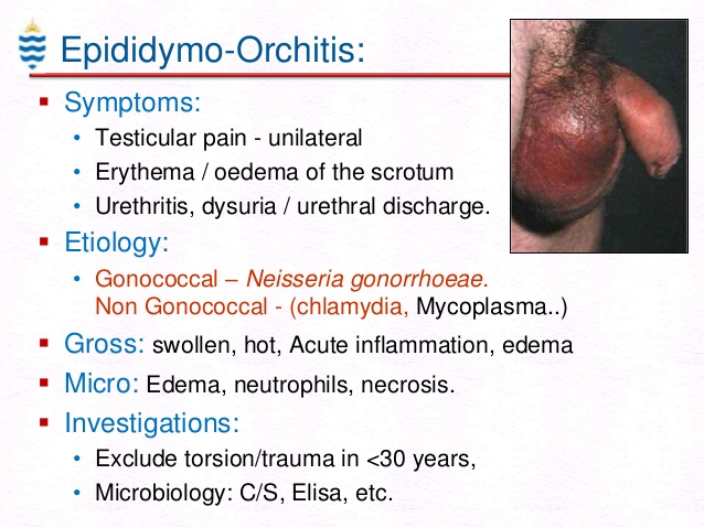granyy-sexvideos-std-symptoms-pictures-in-teens
