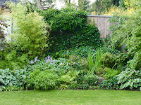Gartengestaltung Hortensien Und Graser