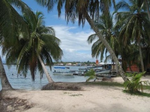 áreas protejidas Parque Nacional Marino Isla Bastimentos