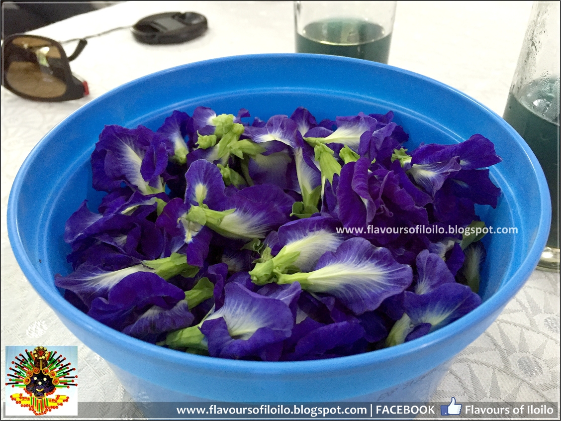 Blue Ternate Salad and more at Orchard Valley Farm