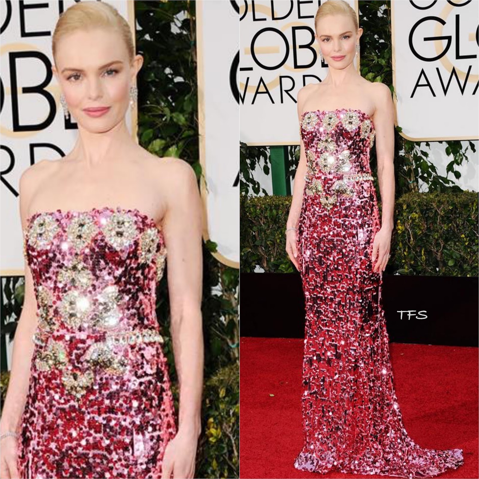 Kate Bosworth in Dolce & Gabbana at the 73rd Annual Golden Globe Awards