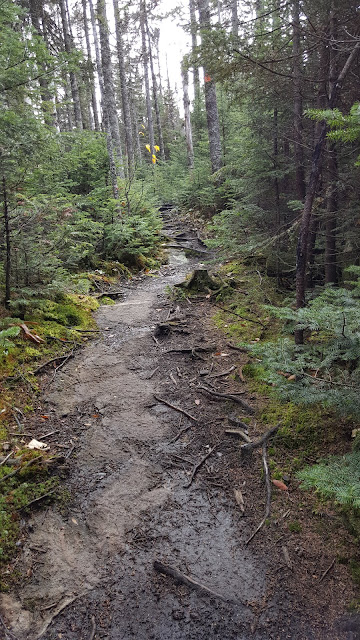 Sentier pédestre pour le mont Carcan