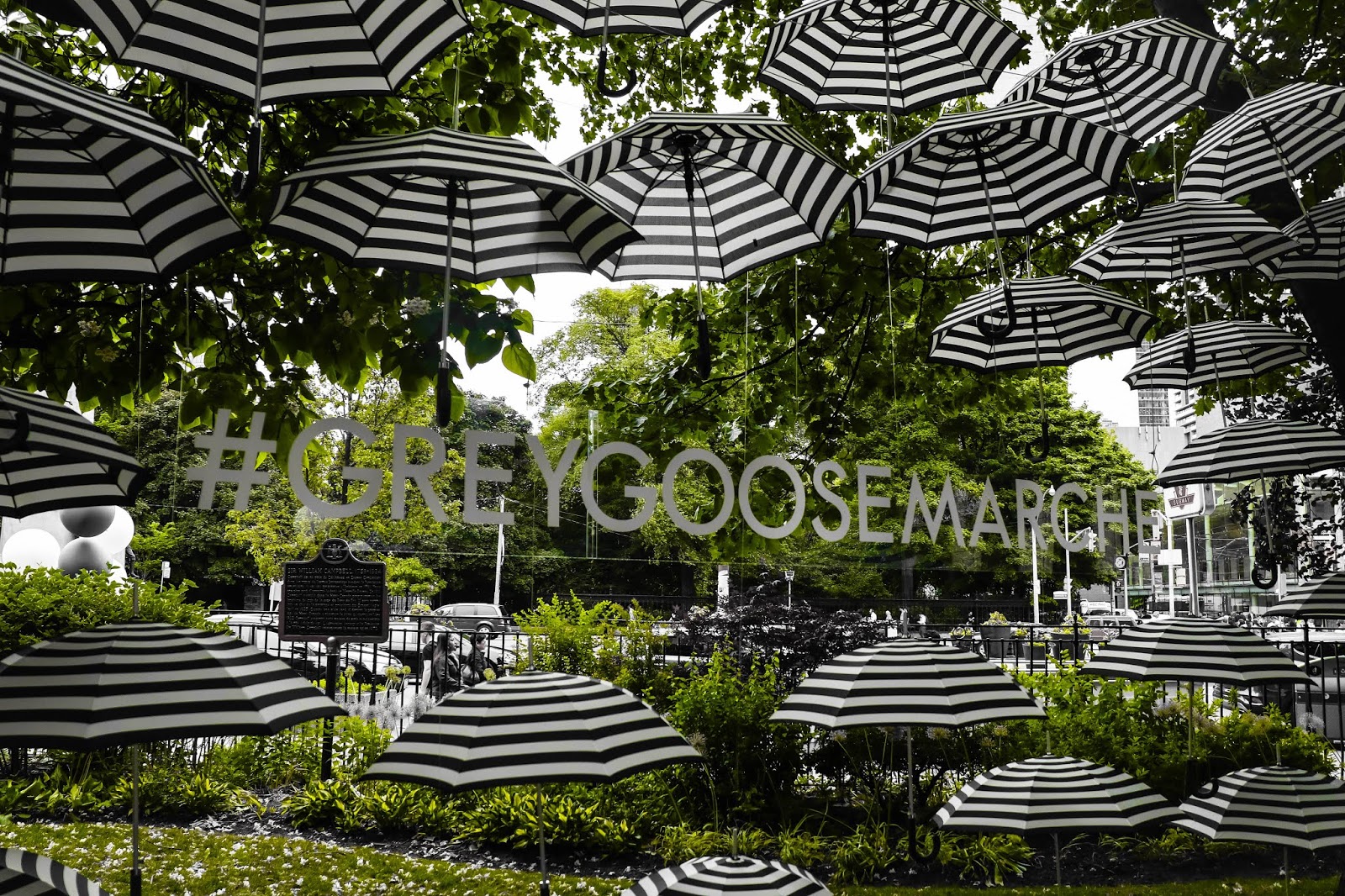 grey goose canada umbrella marche party