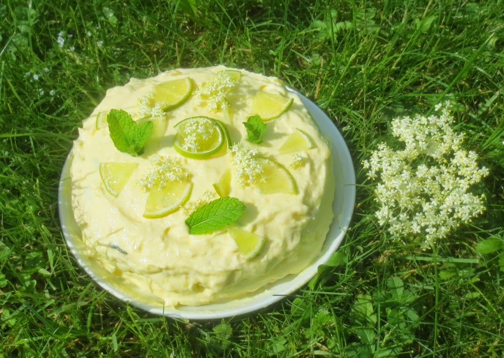 Barbaras Spielwiese: Kleine Hugo-Torte