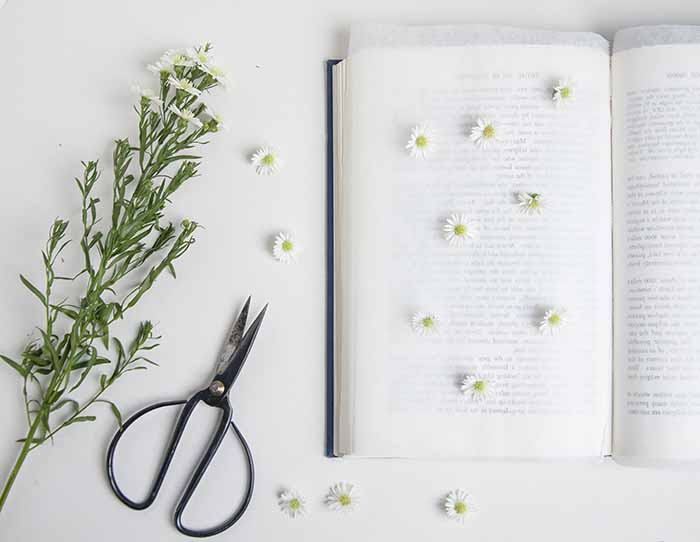 kurutulmuş çiçekten çerçeveli tablo yapımı kitap arasında papatya kurutma