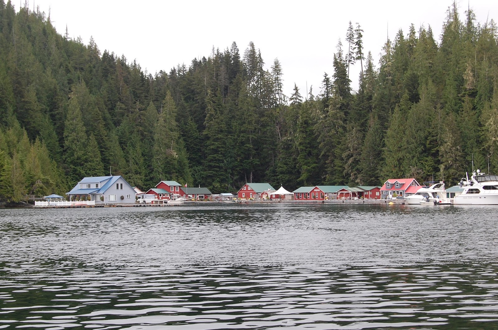 Adventure to Alaska! Sullivan Bay, North Broughton Island, The