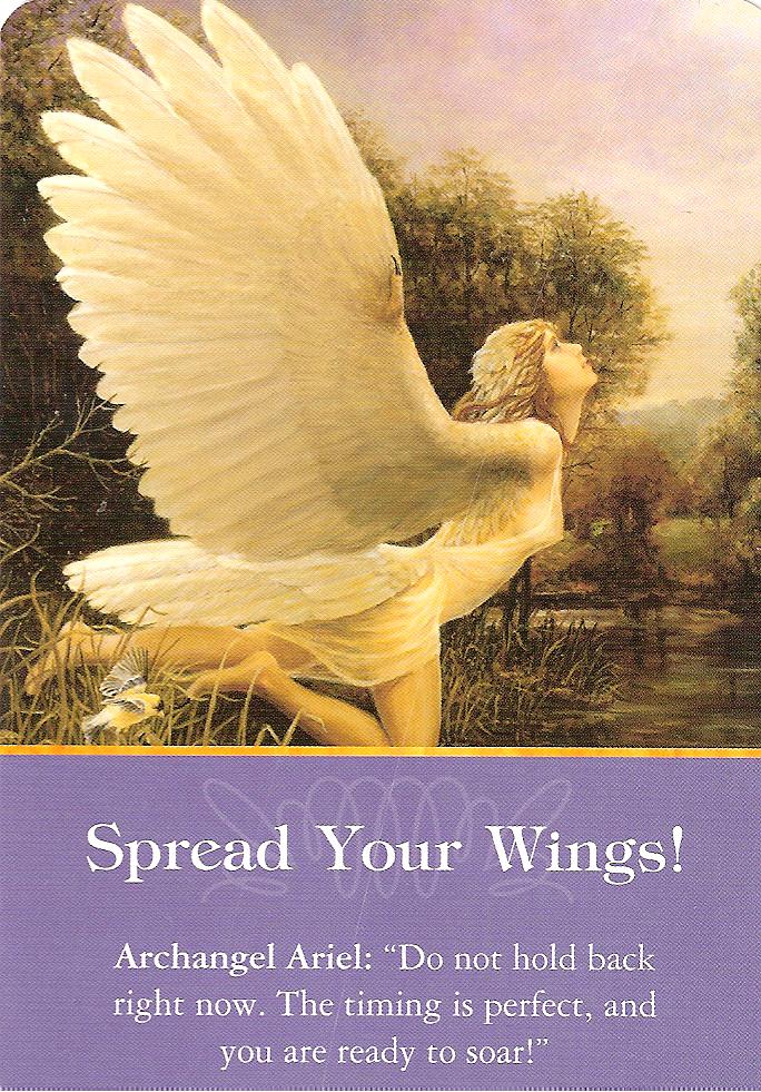 Indigo Readings Blog Todays Reading Spread Your Wings