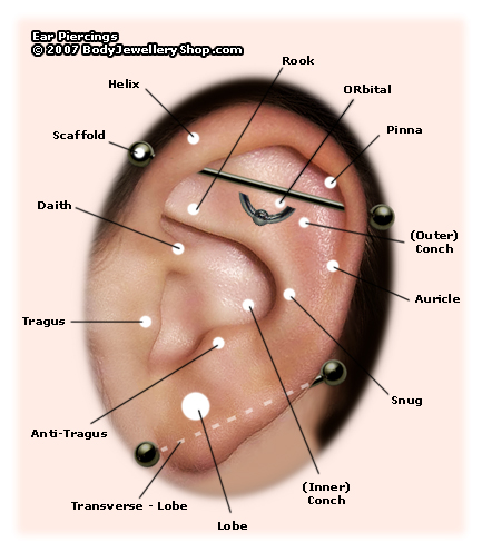 Ear Piercing - Piercing Pictures