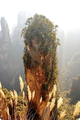 southern sky column mountains in the zhangjiajie national forest park china El Parque Forestal Nacional de Zhangjiajie, China bosque Pandora extraterrestre de Avatar.