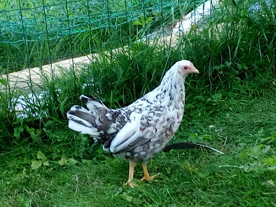 Paris Musee Du Louvre Melle Heureuse Bloglovin