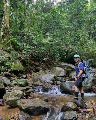 Jalur Pendakian Gunung Halau-Halau 1901 MDPl, Gunung Halau-Halau, gunung Besar, Puncak Halau-Halau