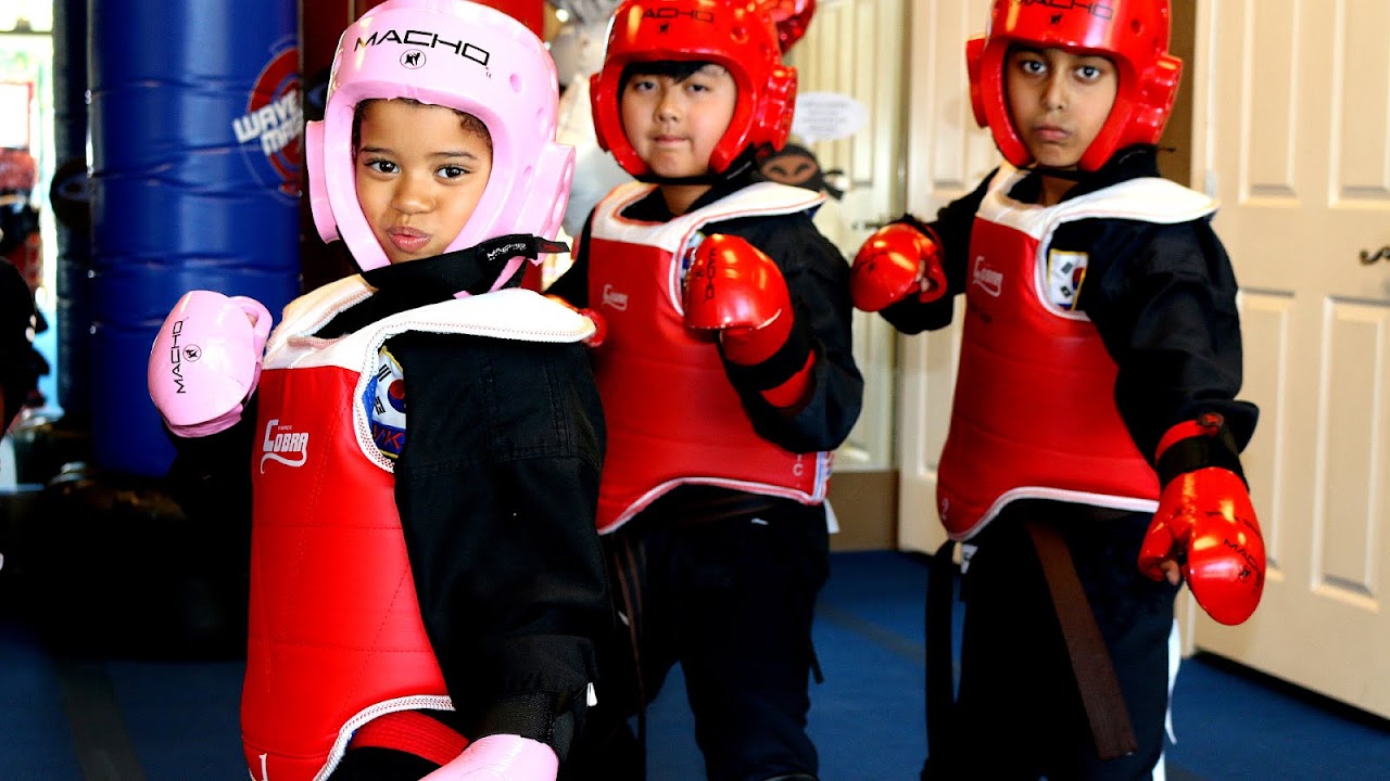 Sparring Karate Sparring Gear Karate Choices