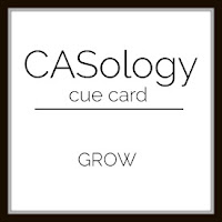  casology.blogspot.com
