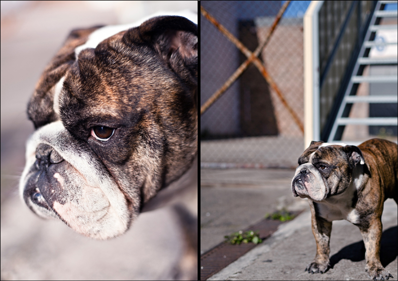See What Tim Is Doing No Quarter Boxing Gym Sydney