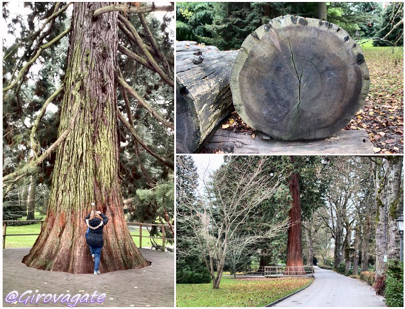 isla mainau lago costanza