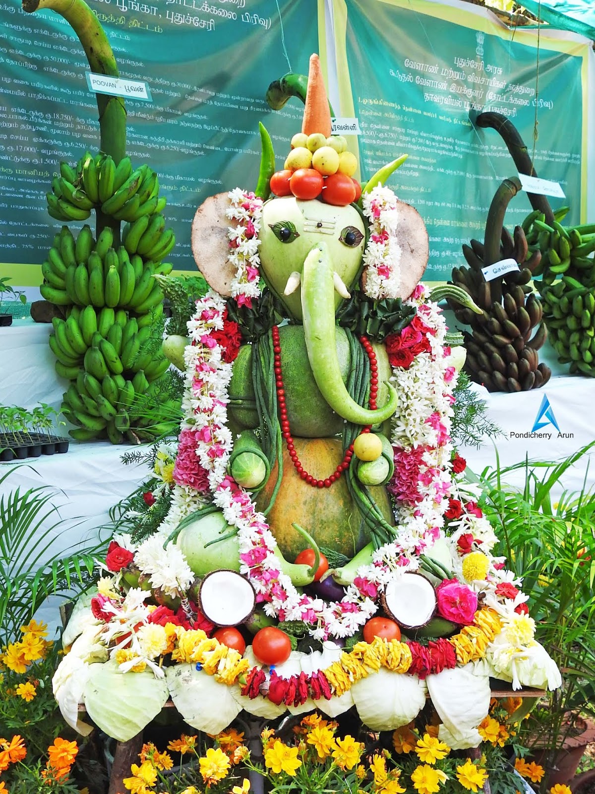 Pondicherry Botanical Garden Flower show (Farmers Festival) 16.02.2019