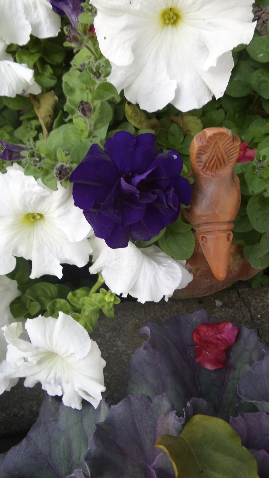 Keep Calm & Curry On Bowers of Flowers...That Don't Bloom in the Spring!