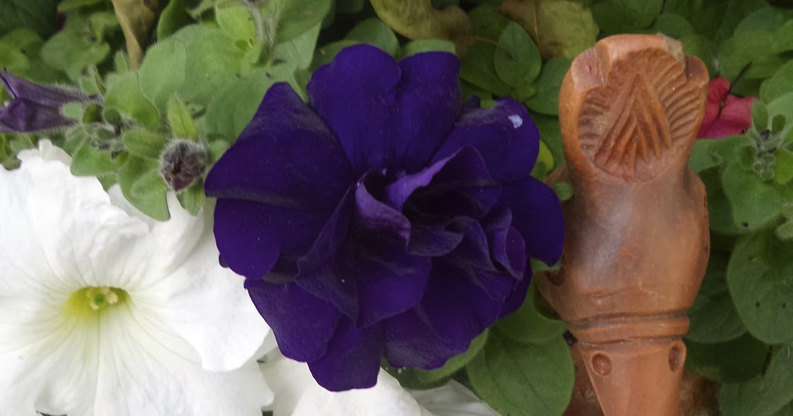 Keep Calm & Curry On Bowers of Flowers...That Don't Bloom in the Spring!