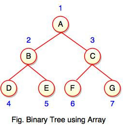 Binary Tree in Data Structure
