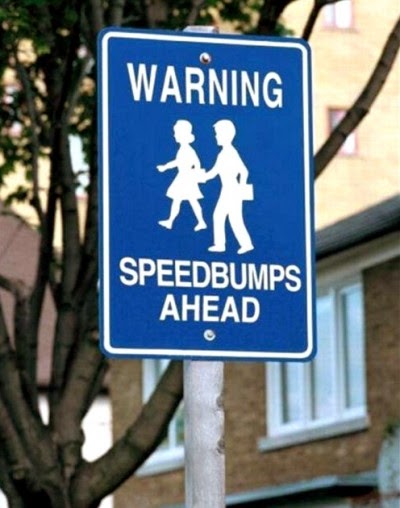 http://www.funnysigns.net/children-are-not-speedbumps/