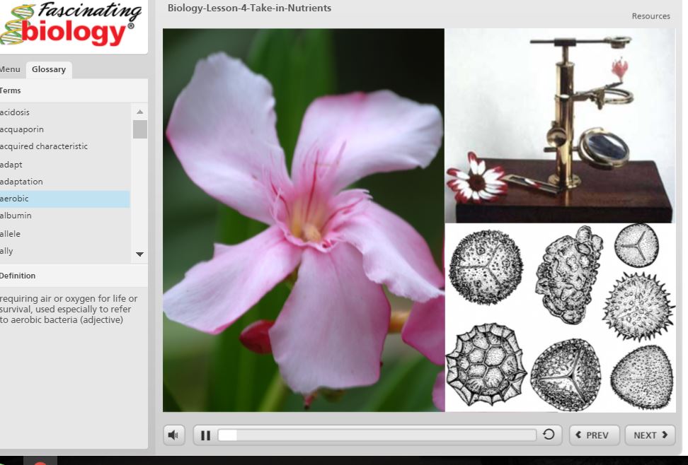 Puddle Jumping Homeschool Review Crew Fascinating Education Biology