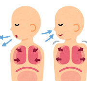 胸式呼吸のイラスト