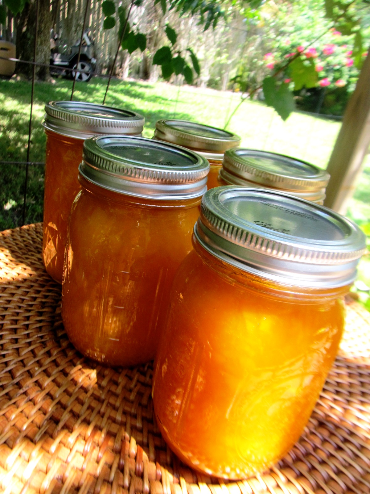 Food and Thrift End of the Mango Season in S. Florida