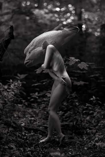 Miss Aniela fotografia modelos mulheres fashion surreal nudez natureza