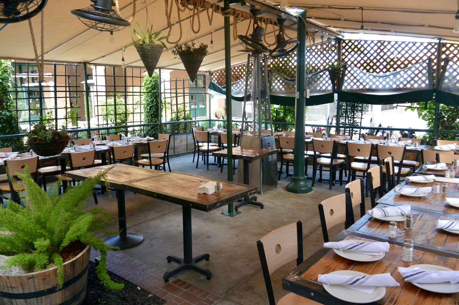 Fig Tree Cafe for Dinner! San Diego Dining Dish!