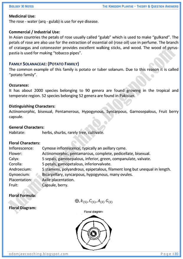 kingdom-plantae-descriptive-question-answers-biology-11th