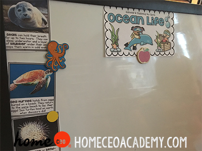 https://www.teacherspayteachers.com/Product/Ocean-Life-Week-13-Age-4-Preschool-Homeschool-Curriculum-by-Home-CEO-2475608