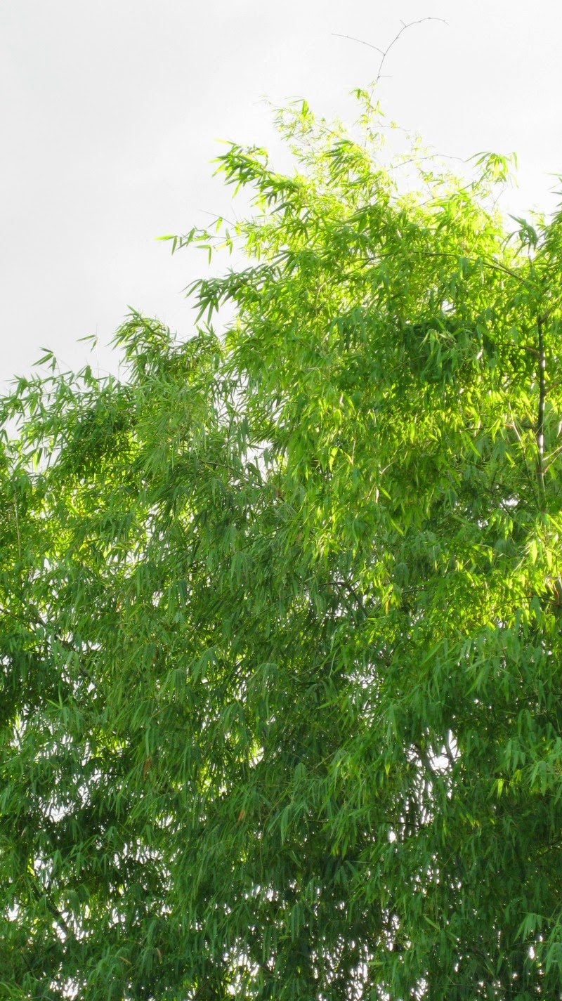 Crochet and Other Stuff Crochet and other hobbies...