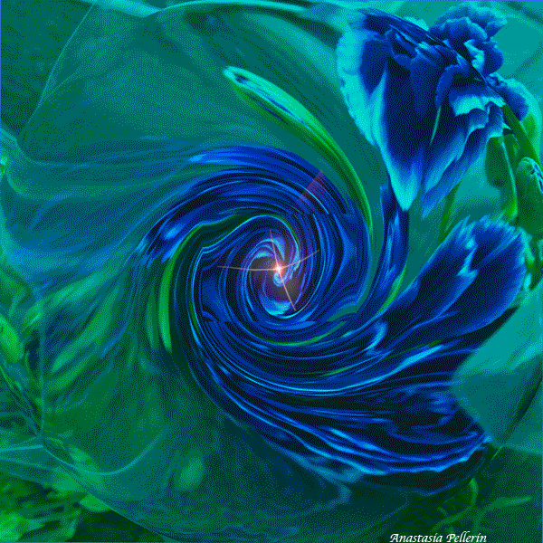 Art + Music with carnations also rememberroses and thistreeplace