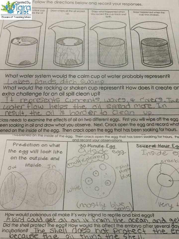 Oceans of Teaching Ideas: Oil Spill Activity