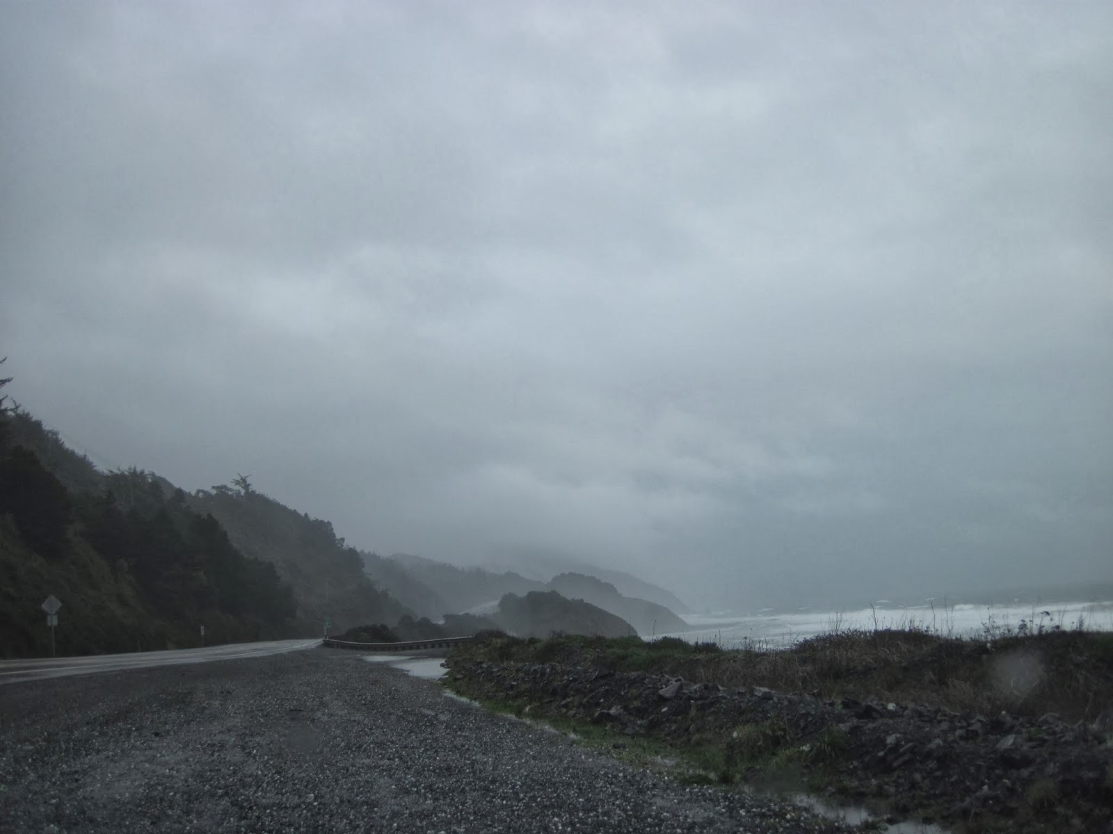 plodding in paradise: ON THE ROAD: REDWOODS MAGIC