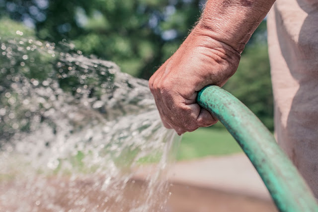 A man's hand holding a green hose, watering his garden.