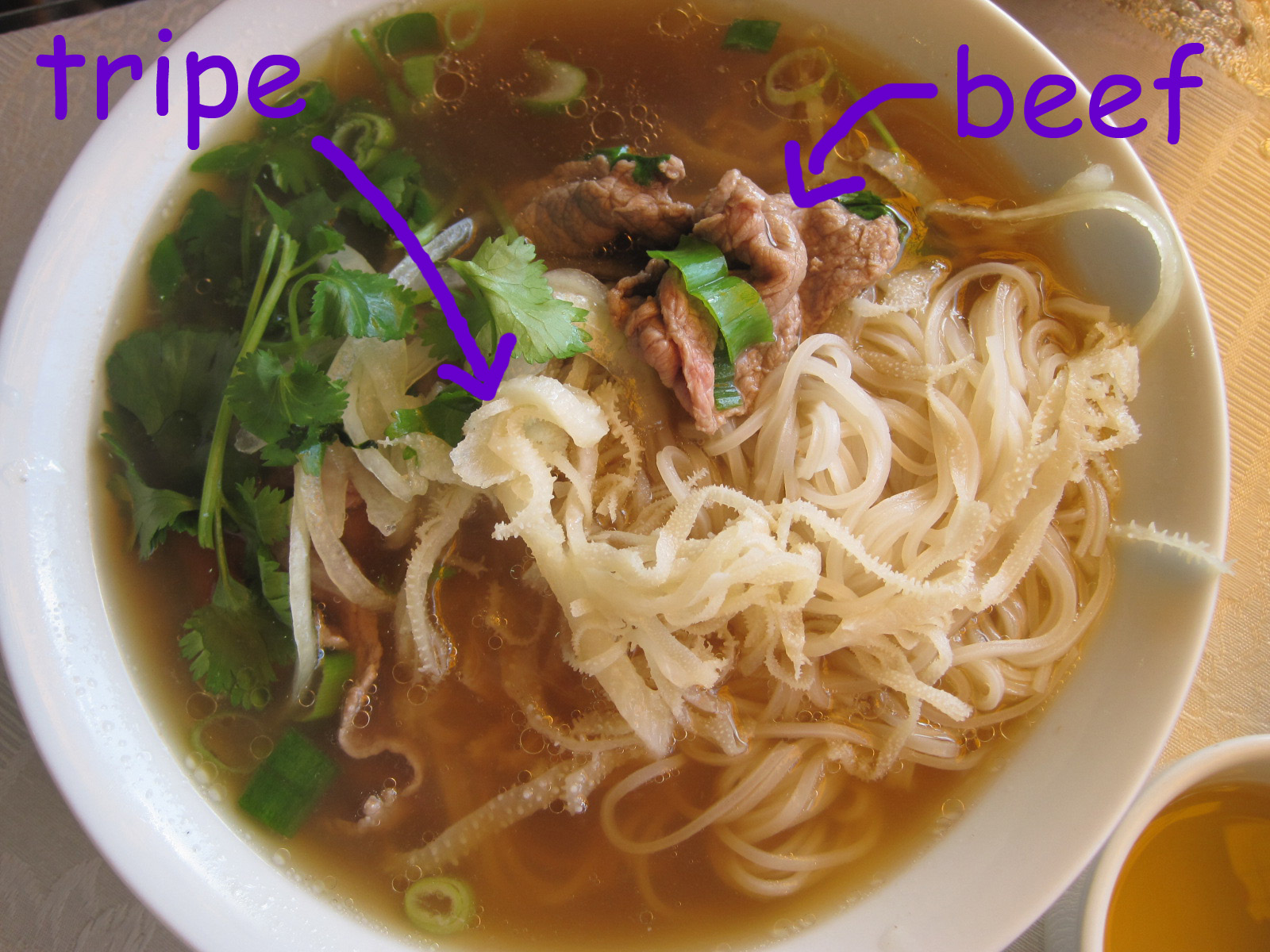 Dishing on the 604 Pho Thai Hoa (Kingsway), revisited Good All