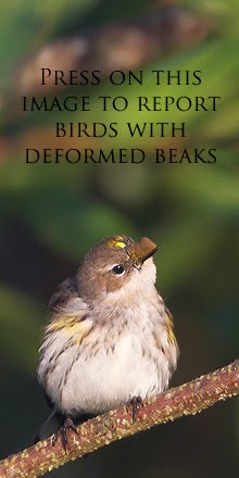 Unites States Geological Survey