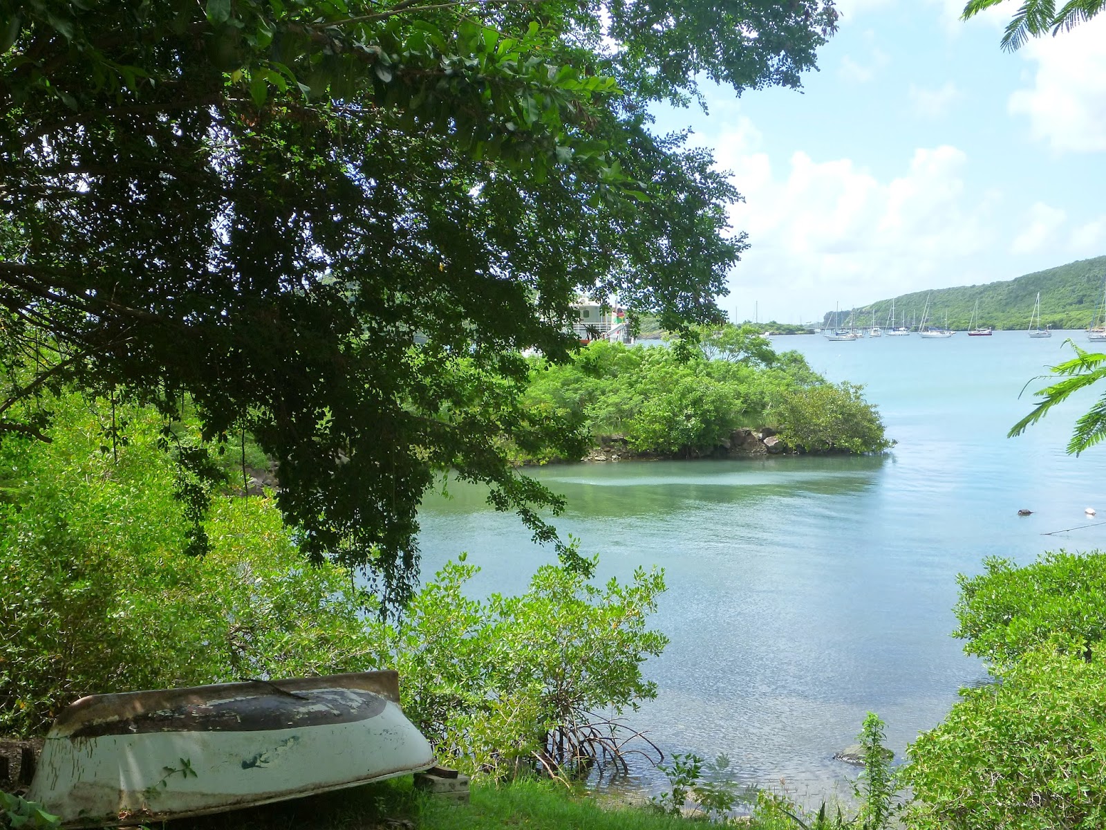 Caribbean Educational Trip on Manureva