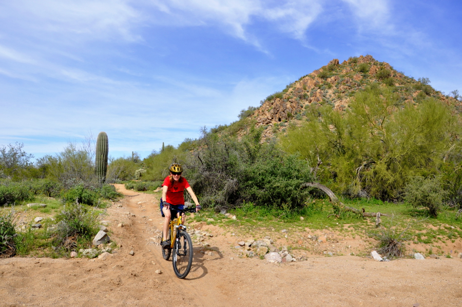 Exploring the Southwest Spillway Trail to Blevins Loop Usery Mountain
