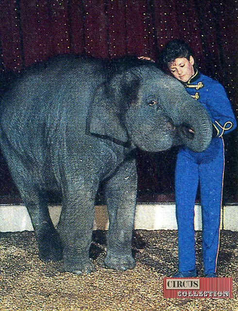 câlins entre Louis Knie et un jeune éléphant