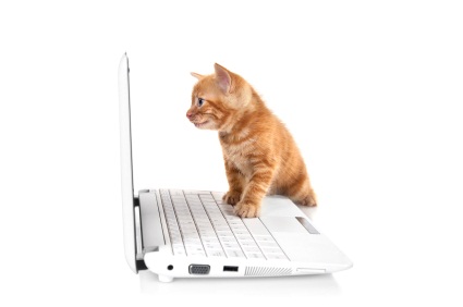 Php Mail Server ve Port Testi