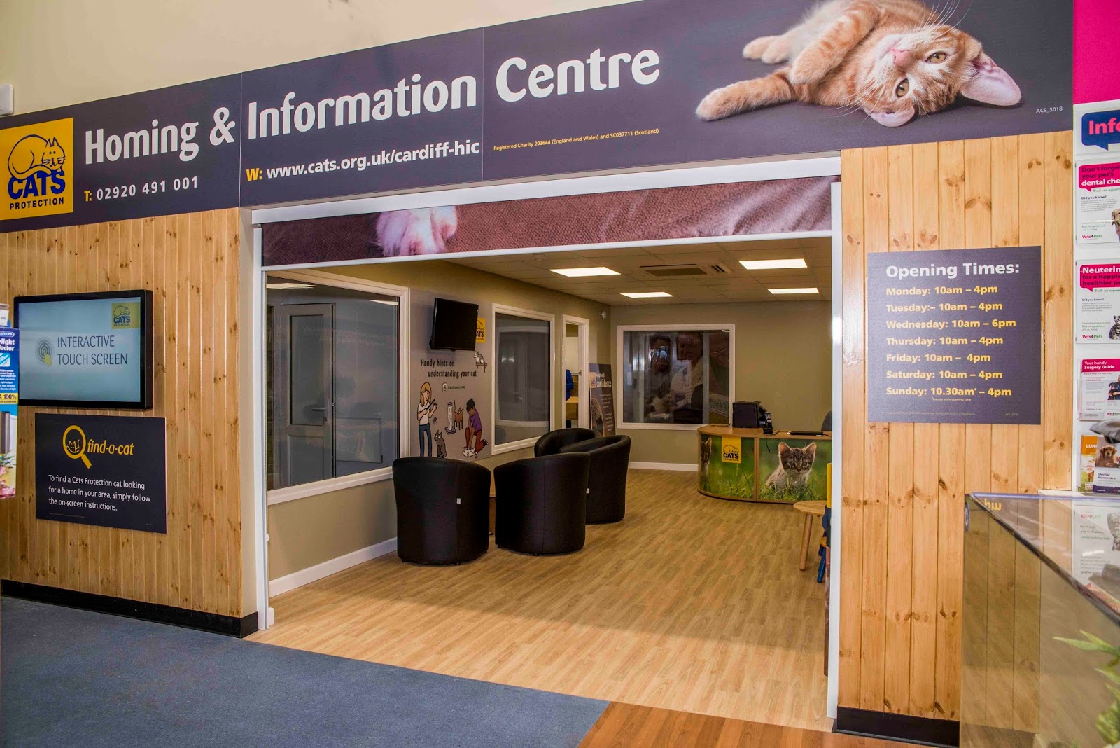 Cats Protection Bridgend Adoption Centre Blog February 2018