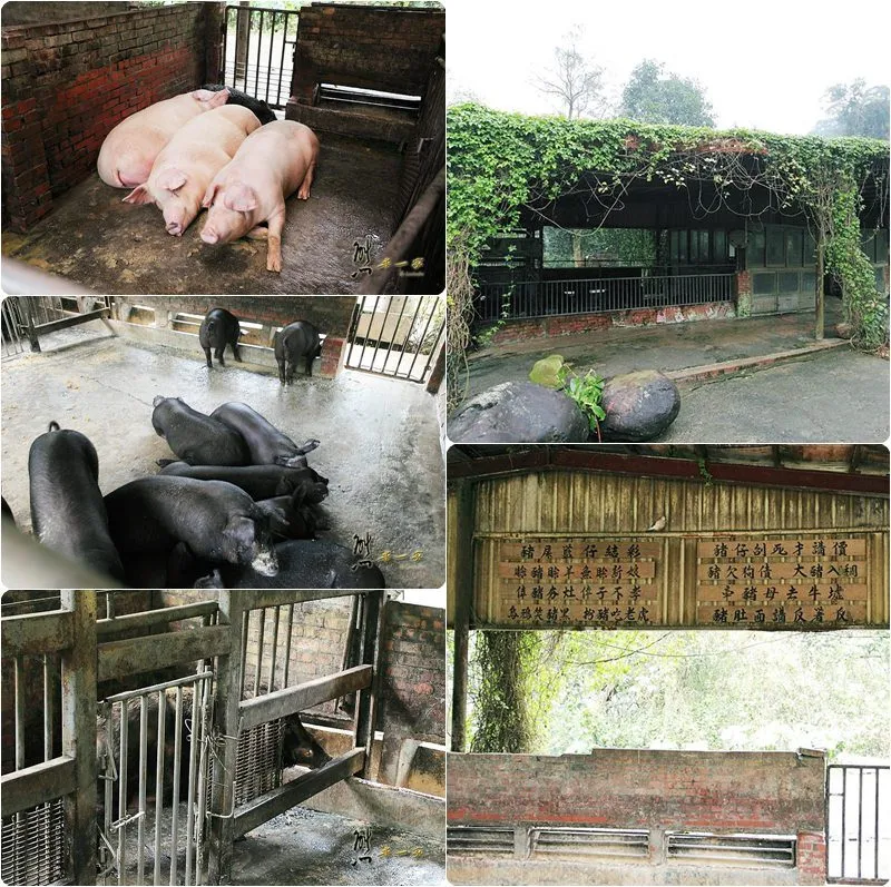 頭城農場親子採果趣