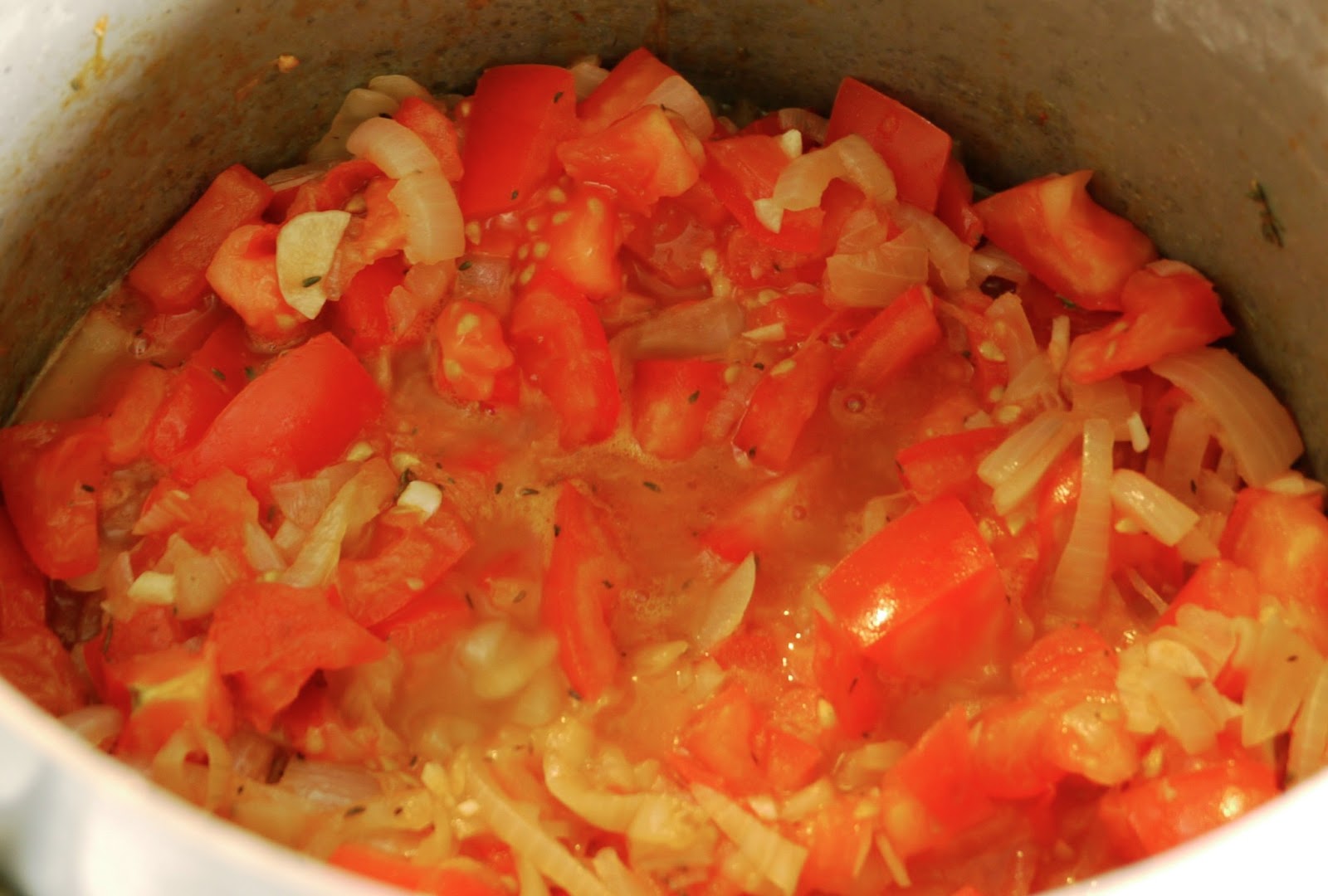 The Medicine: Portuguese Tomato and Onion Soup with ...
