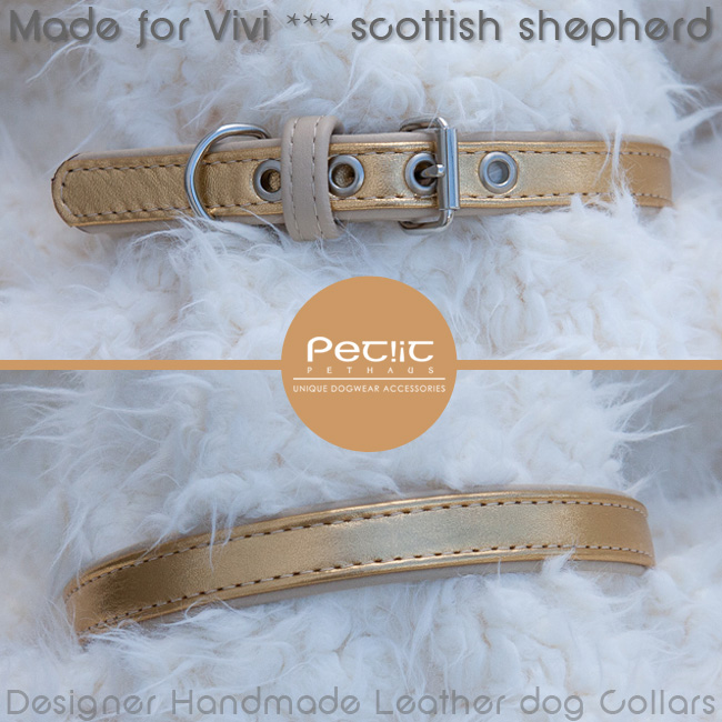 Petiit Pethaus Blog Leather collar for Vivi Rough Collie