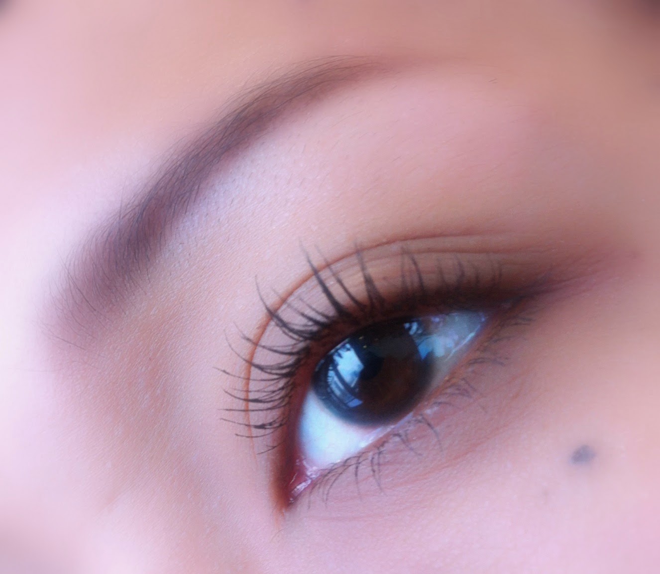 Sakura Lisha Review Wardah Perfect Curl Mascara & Wardah Expert Eye Makeup Remover